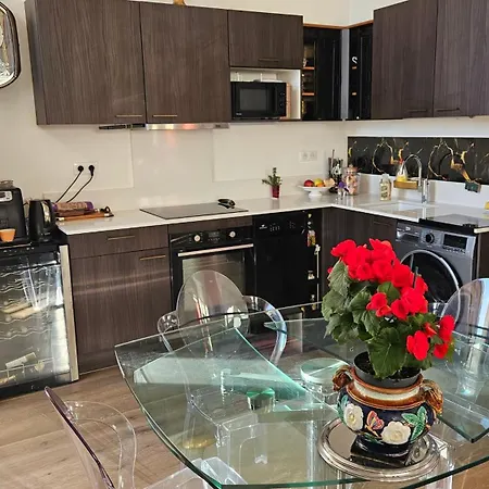 Standing D'hiver Appartement *